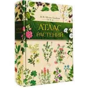 Атлас цветов. Атлас растений Мелик-Гусейнов. Мелик-Гусейнов в. лекарственные растения. Атлас растений наши растения в лекарствах 1981 Прага. Атлас растений России.