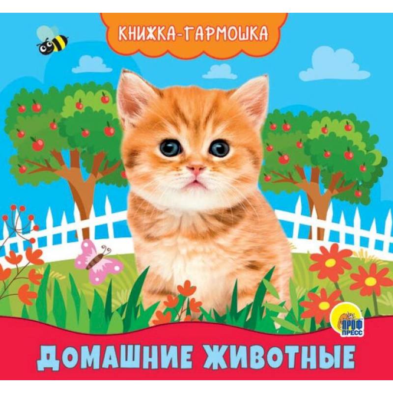 Книжка Домашние животные | Интернет-магазин детских игрушек slep-kostroma.ru