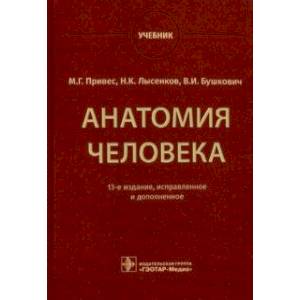 Knigi-Janzen.De - Анатомия Человека. Учебник | Привес Михаил.