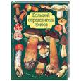 russische bücher: Юдин - Большой определитель грибов