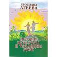 russische bücher: Агеева Я. - Истоки культуры и традиции Руси