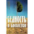 russische bücher: Шарапов С., Улыбышева М. - Бедность и богатство