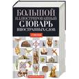 russische bücher:  - Большой иллюстрированный словарь иностранных слов. 17 000 слов.