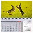 russische bücher:  - Квартальный календарь 2011. Два зайца