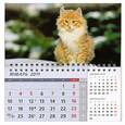 russische bücher:  - Квартальный календарь 2011. Кот рыжий