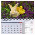 russische bücher:  - Квартальный календарь 2011. Кролик с утенком
