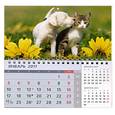 russische bücher:  - Квартальный календарь - 2011 (Пес и кот)