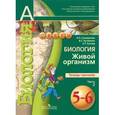 russische bücher: Сухорукова Людмила Николаевна - Биология. Живой организм. Тетрадь-тренажер. 5-6 классы. В 2-х частях. Часть 2