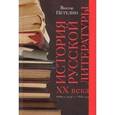 russische bücher: Петелин Виктор Васильевич - История русской литературы Книга 1.  XX век