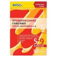russische bücher: Новикова Лариса Ивановна - Правописание гласных после шипящих и Ц. 5-9 классы. ФГОС