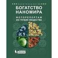 russische bücher: Гудилин Е.А. и др., Под ред. Третьякова Ю.Д - Богатство наномира. Фоторепортаж из глубин вещества