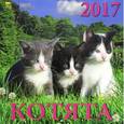 russische bücher:  - 70705 Календарь на 2017 год. " Котята"