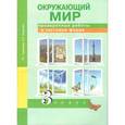 russische bücher: Кудрова Лариса Геннадьевна - Окружающий мир. Проверочные работы в тестовой форме. 3 класс