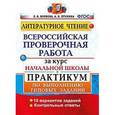 russische bücher: Птухина Александра Викторовна - Всероссийская проверочная работа за курс начальной школы. Литературное чтение. Практикум. ФГОС