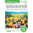 russische bücher: Пасечник Владимир Васильевич - Биология. Многообразие покрытосеменных растений. 6 класс. Учебник. ФГОС