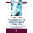 russische bücher: Брагина З.В., Махова Е.А. - Энергоэффективность в сфере снабжения сетевым газом. В поисках нестандартных ответов на незаданные вопросы