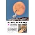 russische bücher:  - Журнал "Наука и жизнь" № 8. 2020