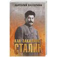 russische bücher: Вассерман А.А. - Как закалялся Сталин