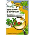 russische bücher: Прохорова С. - Тропинка в природу. Организация экологических исследований с младшими школьниками