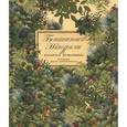 russische bücher: Барренетксеа И. - Ботанистика Натуралис Ботануса Дульсимера