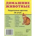 russische bücher:  - Домашние животные. Раздаточные карточки