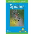 russische bücher: Llewellyn Claire - Claire Llewellyn - Mac Fact Read. Spiders