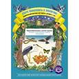 russische bücher: Воронкевич О.А. - Добро пожаловать в экологию! Дидактический материал для работы с детьми 6-7 лет. Подготовительная к школе группа. Коллажи, мнемотаблицы, модели, пиктограммы. ФГОС