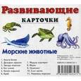 russische bücher:  - Развивающие карточки. Морские животные