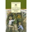 russische bücher: Рыбаков Анатолий Наумович - Бронзовая птица