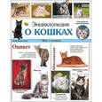 russische bücher: Соколова Ярослава - Энциклопедия о кошках