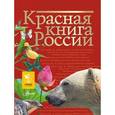 russische bücher: Пескова И.М., Дмитриева Т.Н., Смирнова С.В., Куксина Н.В., Зотова М.Г., Тимоханов В.А. и др. - Красная книга России