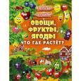 russische bücher: Доманская Л.В., Максимова И.Ю. - Овощи, фрукты, ягоды. Что где растёт?