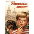 russische bücher: Харченко Дмитрий - Удивительное открытие