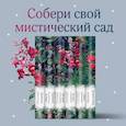 russische bücher:  - Набор: Элегантная мистика (из 7-х книг: "Дракула", "Кармилла", "Ибо кровь есть жизнь" и др.)