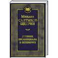 russische bücher: Салтыков-Щедрин М. - Дневник провинциала в Петербурге