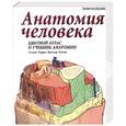 russische bücher: Харрис, Вилллан - Анатомия человека. Цветной атлас и учебник анатомии