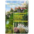 russische bücher: Авраменко И. - Деревья и кустарники в ландшафтном дизайне