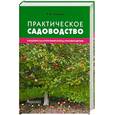 russische bücher: Чечеткин Р. - Практическое садоводство