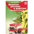 russische bücher: Казьмин В. - Ядовитые растения и животные при вашей болезни