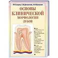 russische bücher: Самусев Р.П. - Основы клинической морфологии зубов