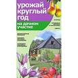 russische bücher: Банников Е.А. - Урожай круглый год на дачном участке