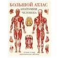 russische bücher: Махиянова Е. Б. - Большой атлас анатомии человека