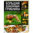 russische bücher: А.Б.Поленов - Большая энциклопедия грибника. Собираем и готовим