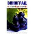 russische bücher:  - Виноград. От черенка до урожая