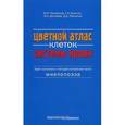 russische bücher: Проценко Д. Д. - Цветной атлас клеток системы крови. Один источник и четыре составные части миелопоэза