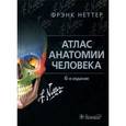 russische bücher: Неттер Ф., под ред. Колесникова Л.Л. - Атлас анатомии человека.