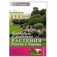 russische bücher: Лепкович Игорь Павлович - Парковые и усадебные растения России и Европы