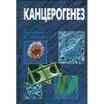 russische bücher: Под ред. Заридзе Д.Г. - Канцерогенез.