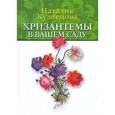 russische bücher: Кузнецова Наталия Александровна - Хризантемы в вашем саду