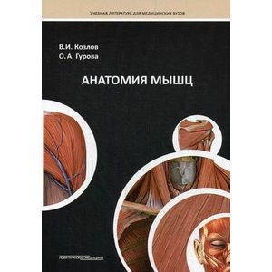 russische bücher: Козлов В. - Анатомия мышц: Учебное пособие